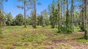 Property Photo:  S US Hwy 17  FL 32180 