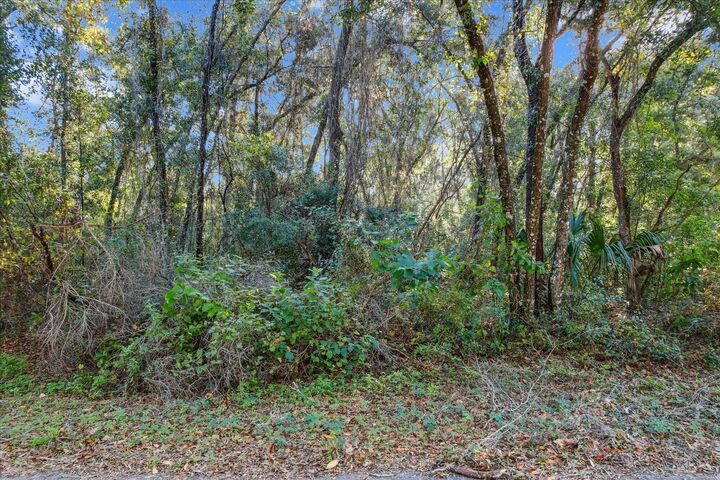 Property Photo:  4223 S William Avenue  FL 34452 