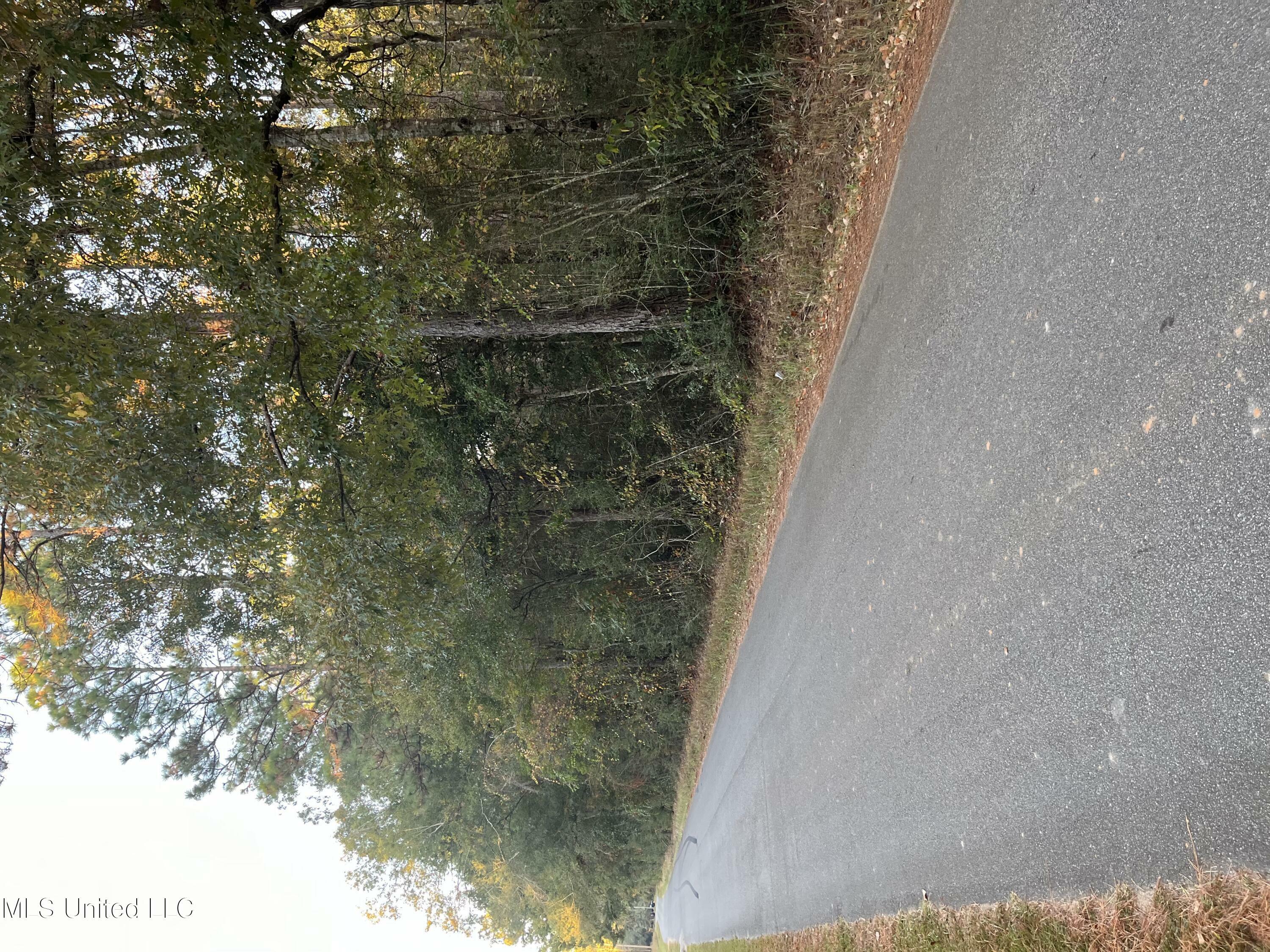 Property Photo:  Sampson Road  MS 39452 