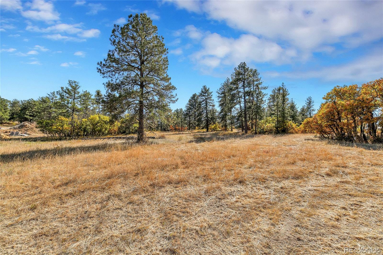 Property Photo: 1561 Arrowpoint Court CO 80116