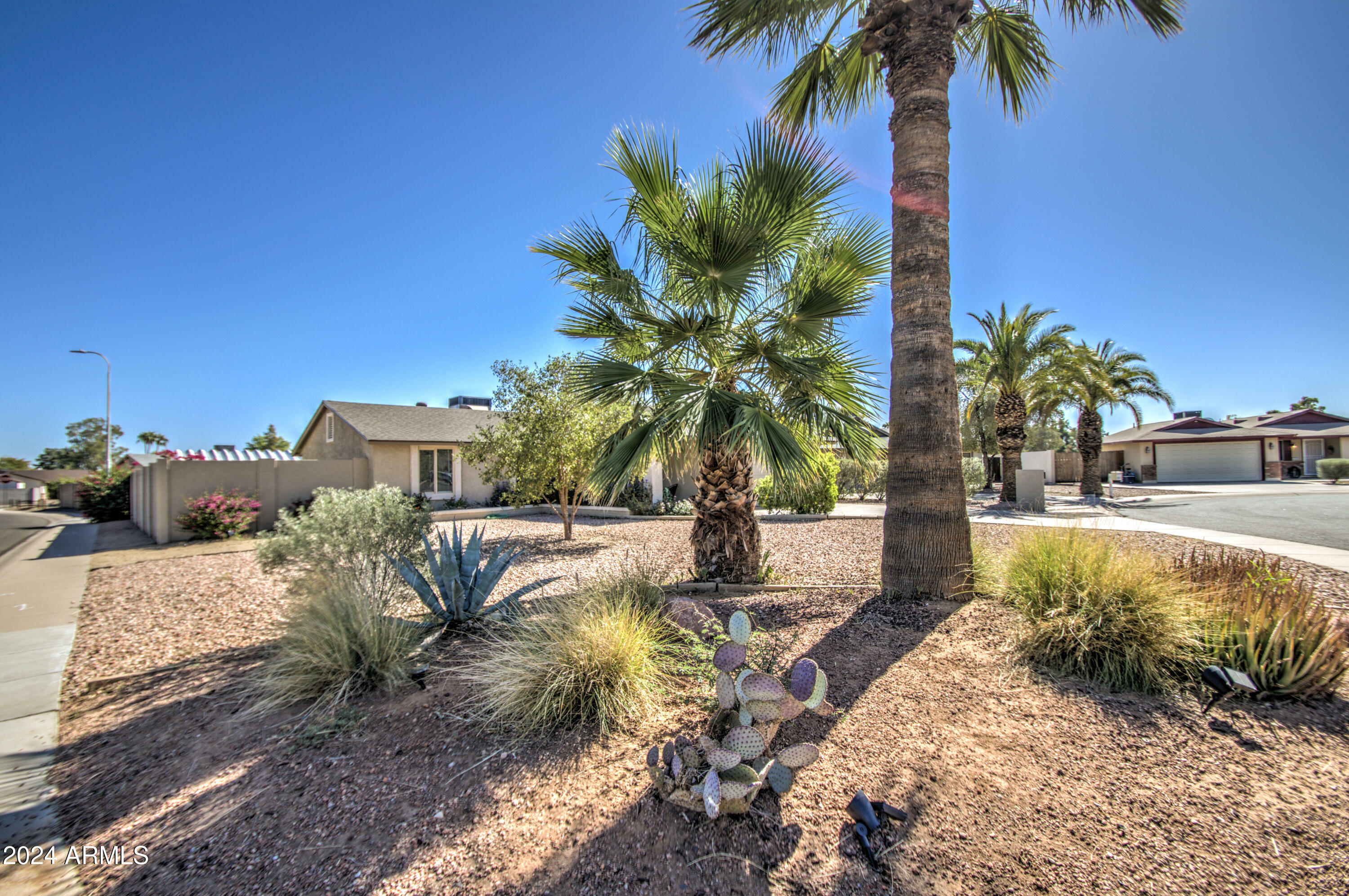 Property Photo:  1707 W Colt Court  AZ 85224 