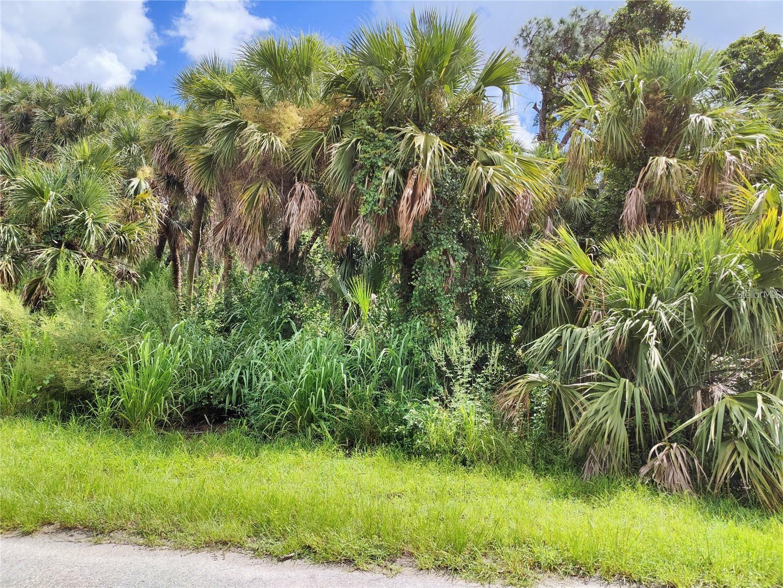 Property Photo:  Raven Street  FL 34286 