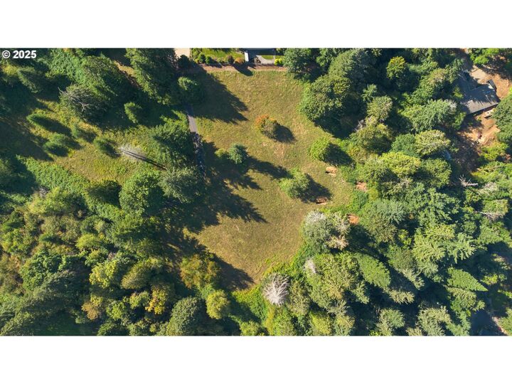 0 Brown Rd 1  Washougal WA 98671 photo