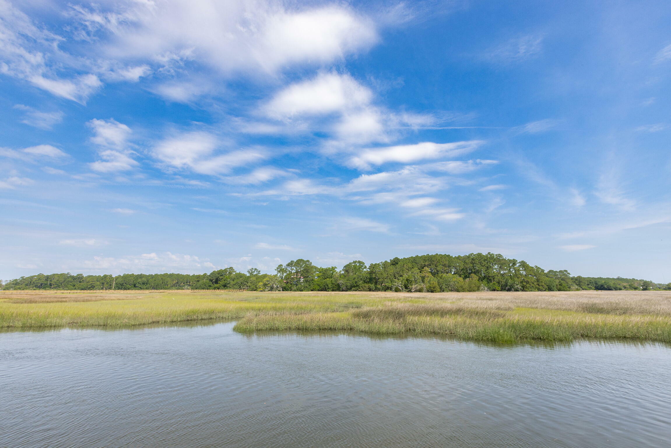 Property Photo:  178 Beresford Creek Street  SC 29492 