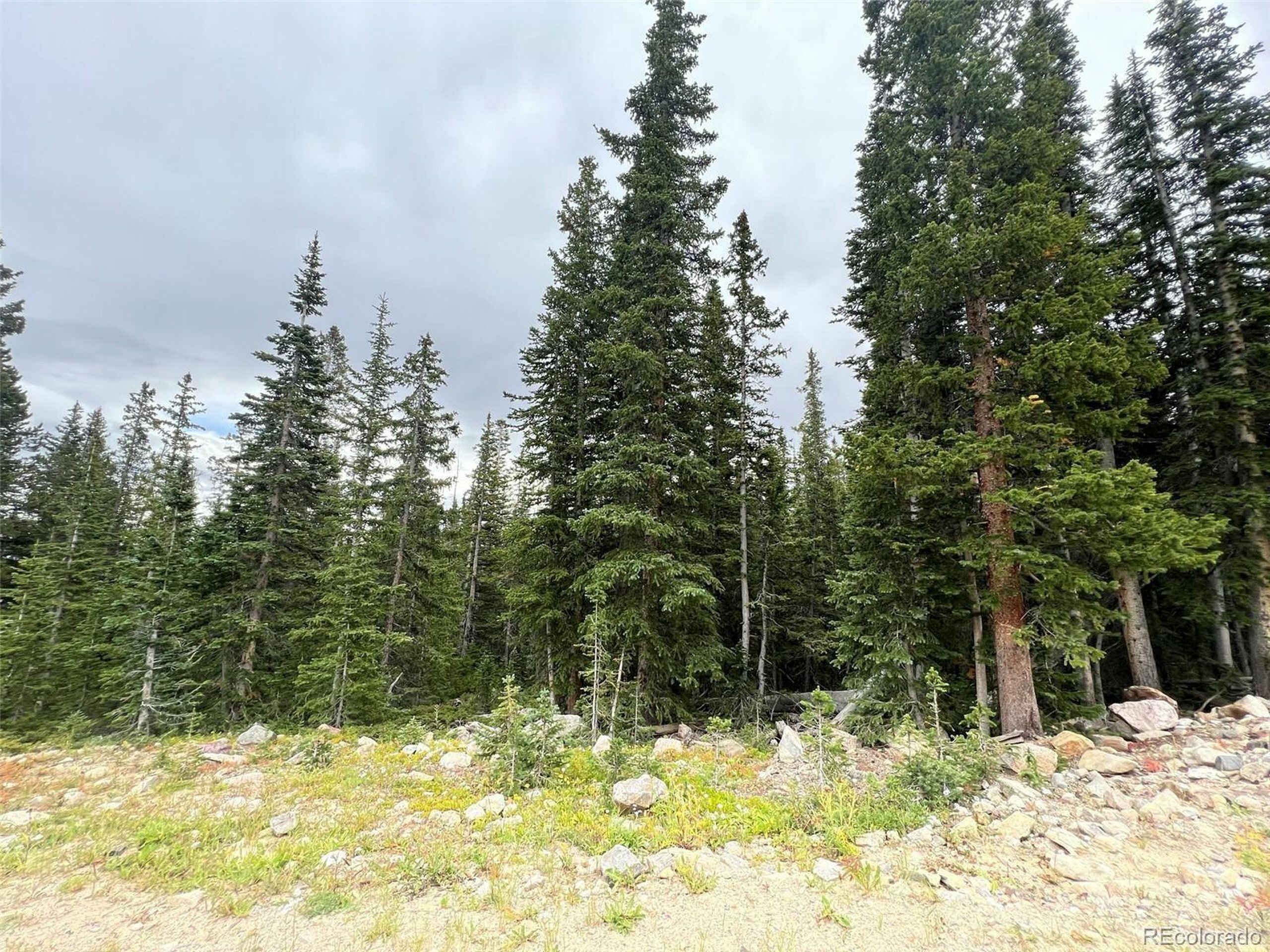 Property Photo:  134 El Lobo Ln  CO 80440 