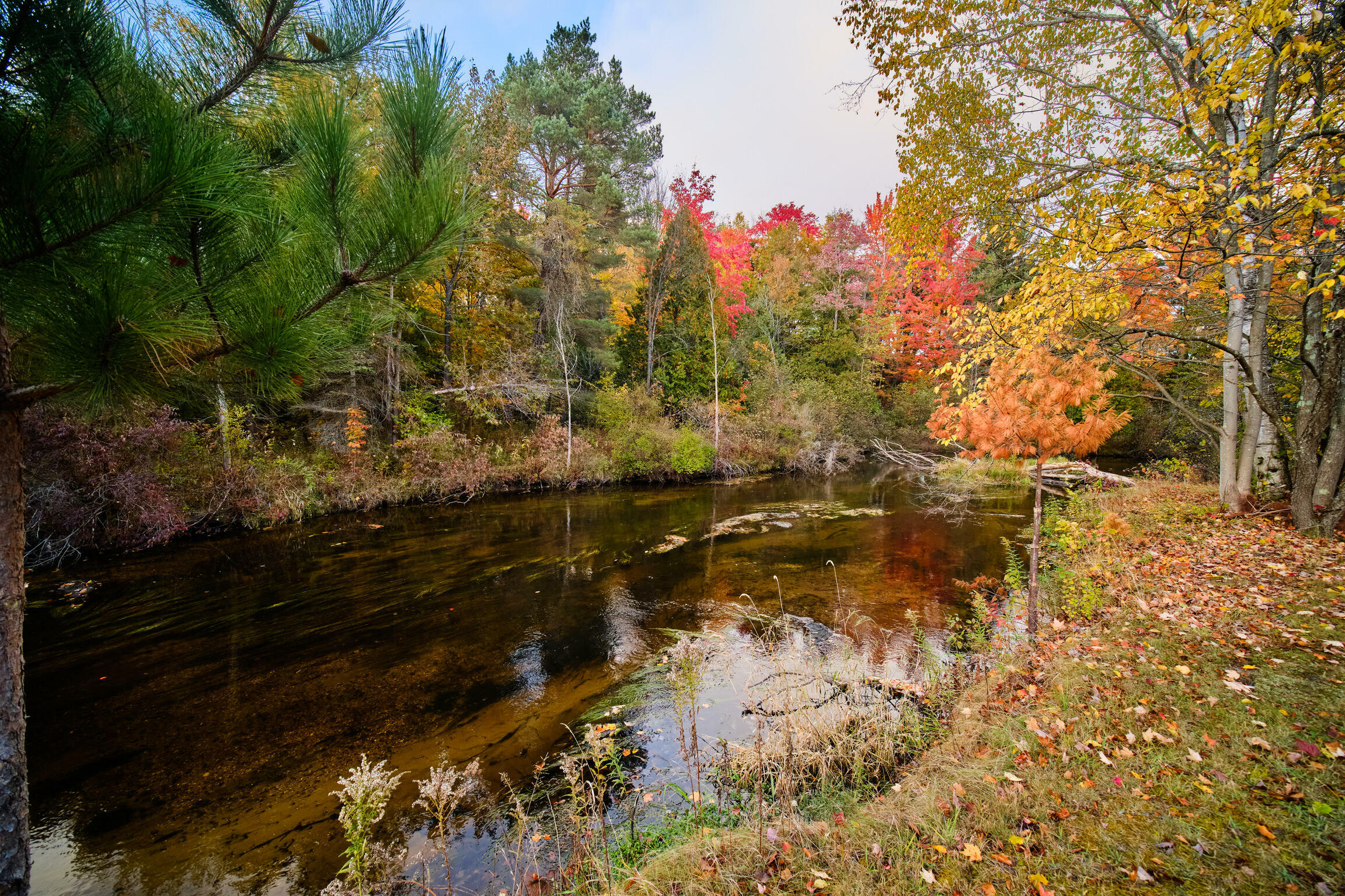 Property Photo:  15049 Healy Lake Road  MI 49614 