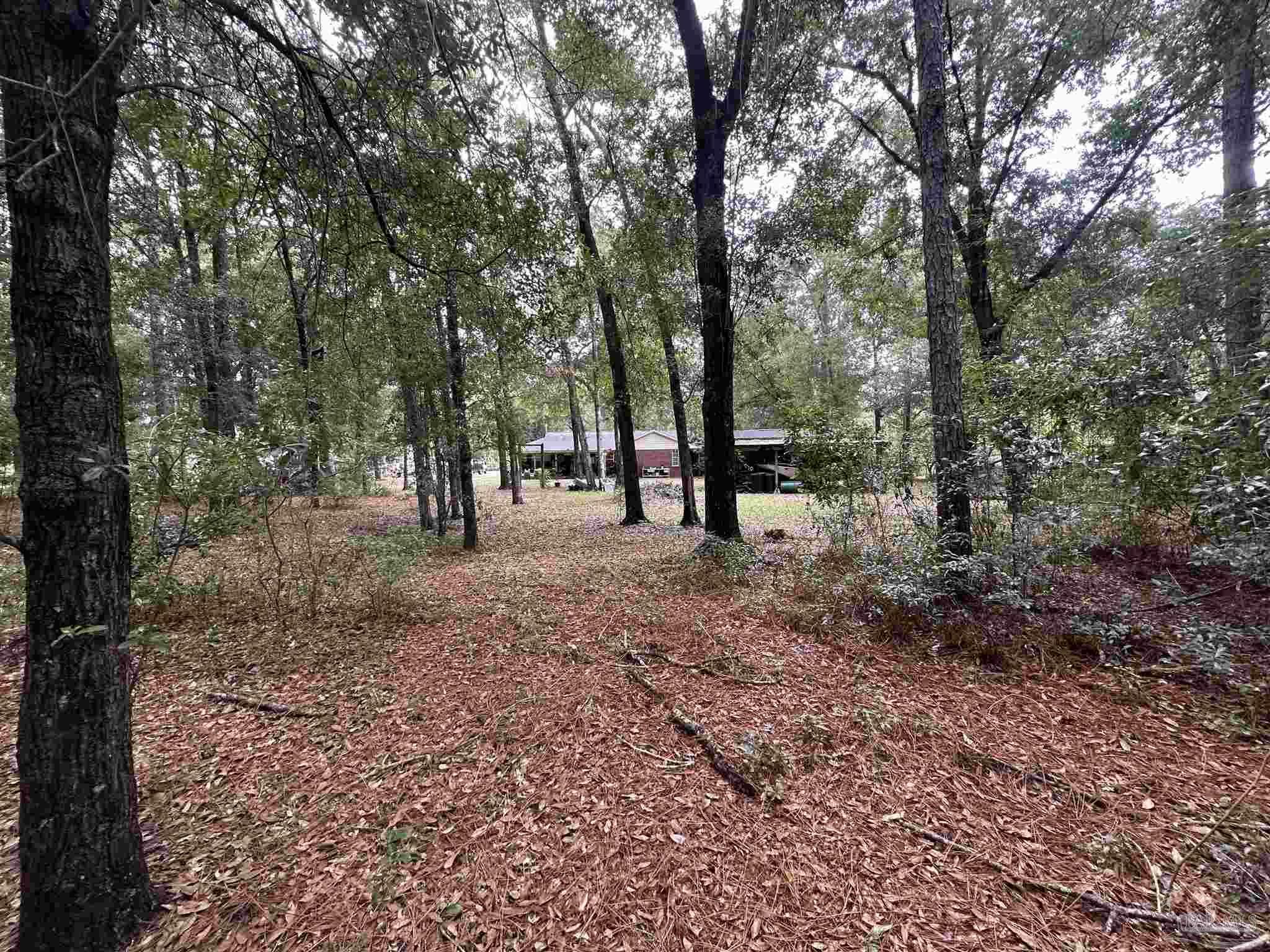 Property Photo:  6635 Warren Rd  FL 32583 