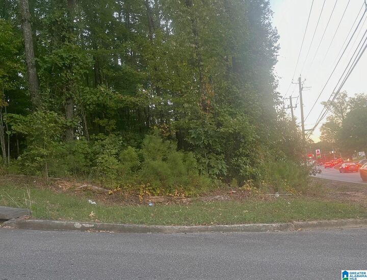 Property Photo: 6760 Old Springville Road 1 AL 35126