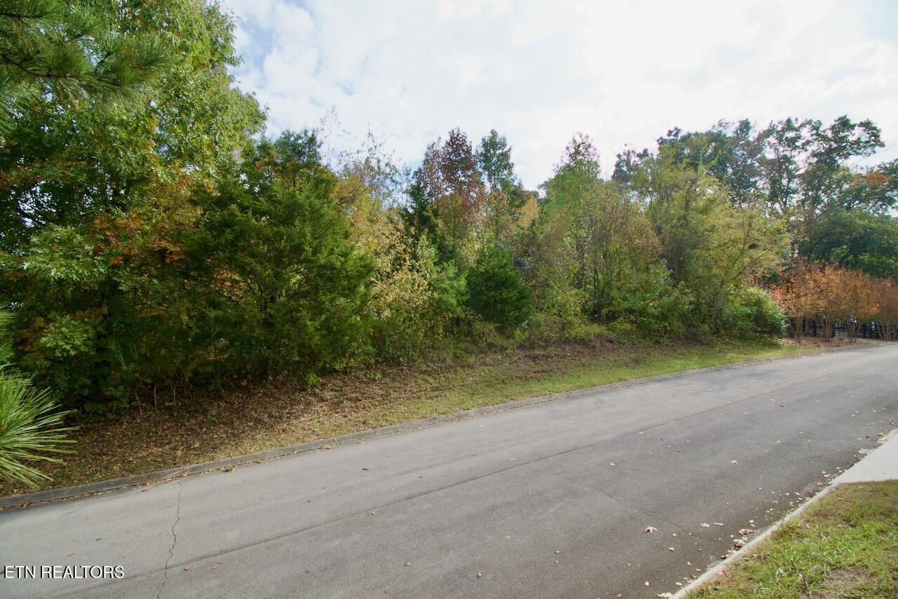 Property Photo:  Lot 8 Colonial Harbor Drive  TN 37777 