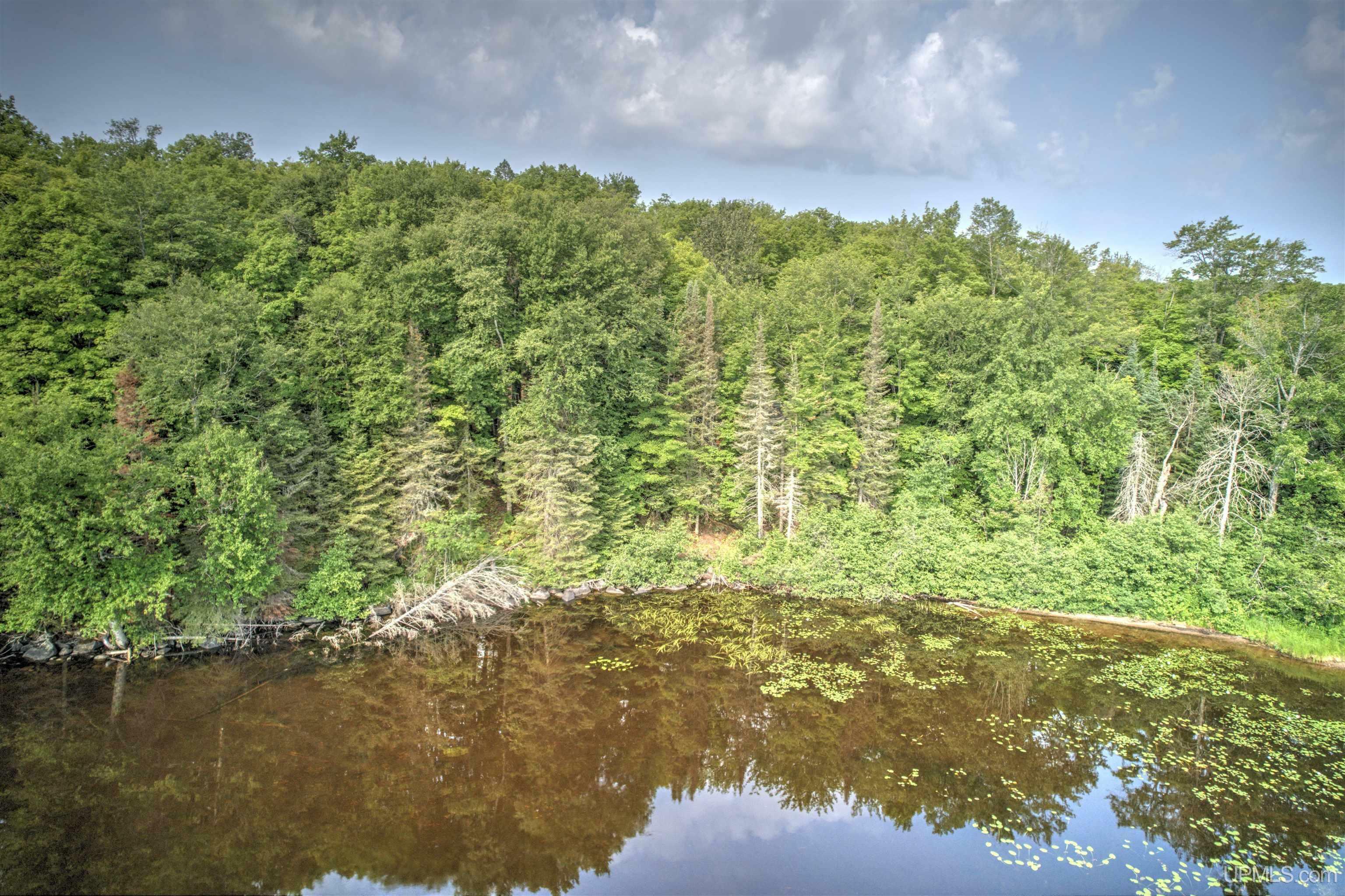 Lot 1 Petticoat Lake Road  Michigamme MI 49862-0000 photo