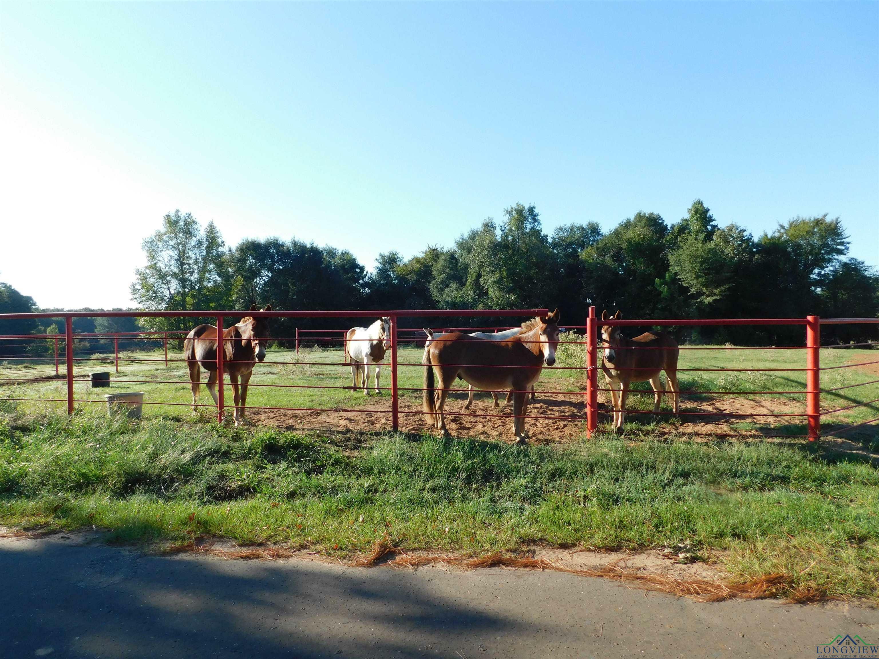 Property Photo:  Tbd Deer Rd  TX 75644 