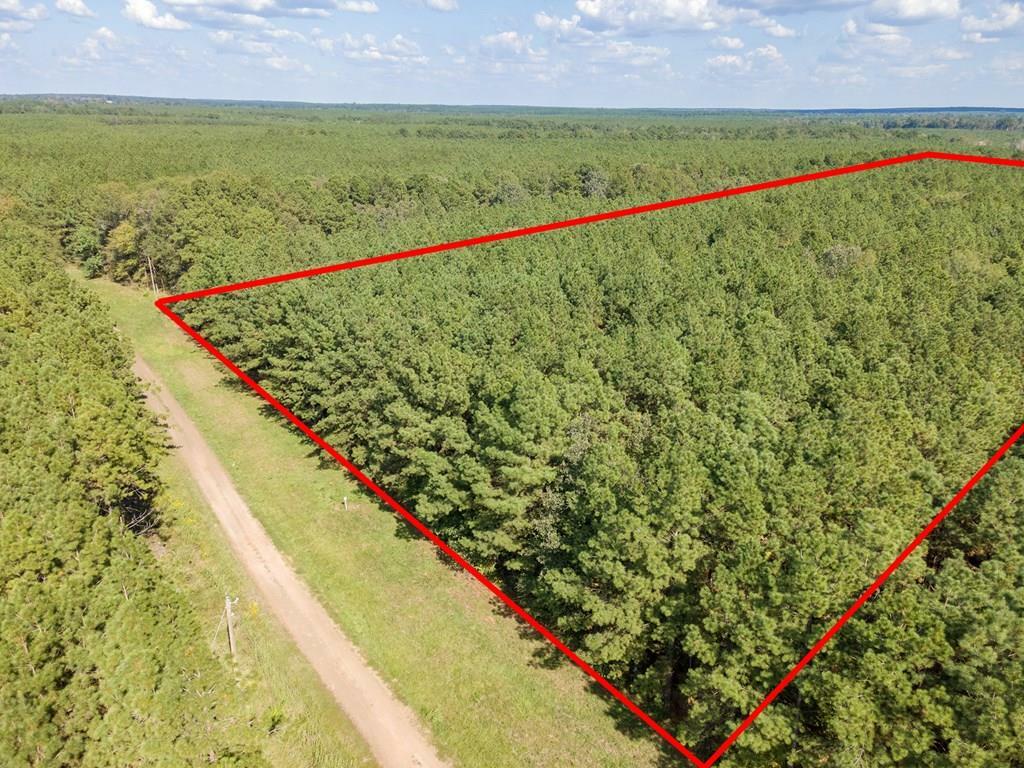 Property Photo:  Parcel #28382 County Road 403  TX 75972 