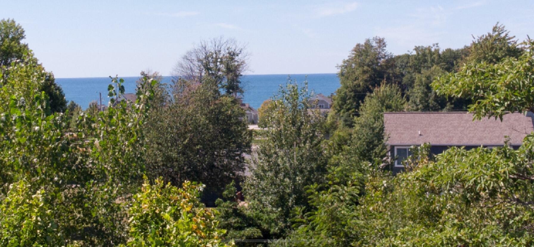 Property Photo:  7368 Beachview Drive  MI 49090 