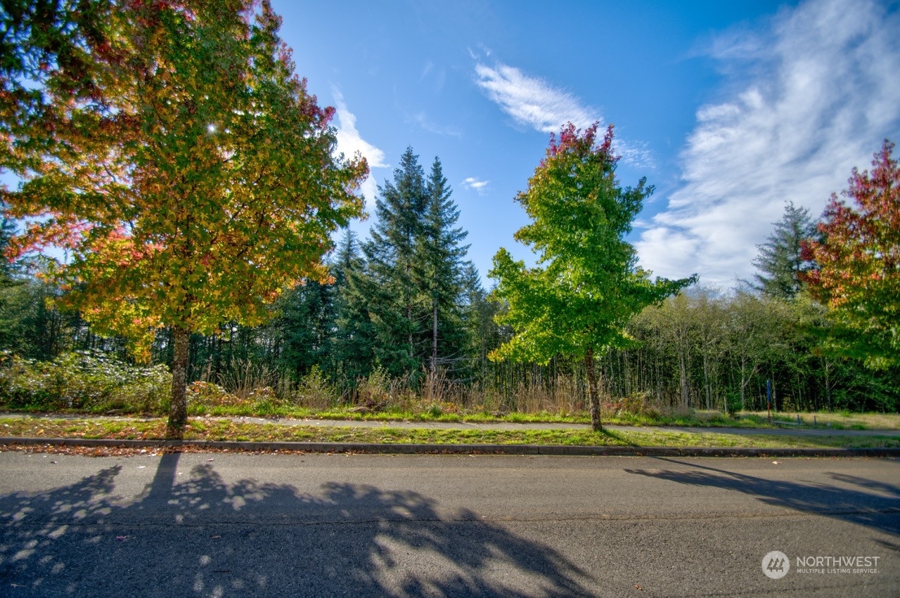 Property Photo:  124 Sequoia Lane  WA 98570 