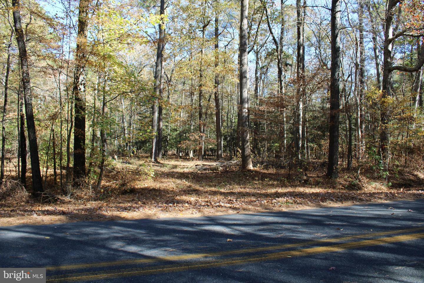 Property Photo:  0 Croppers Island Road Lot 15  MD 21841 