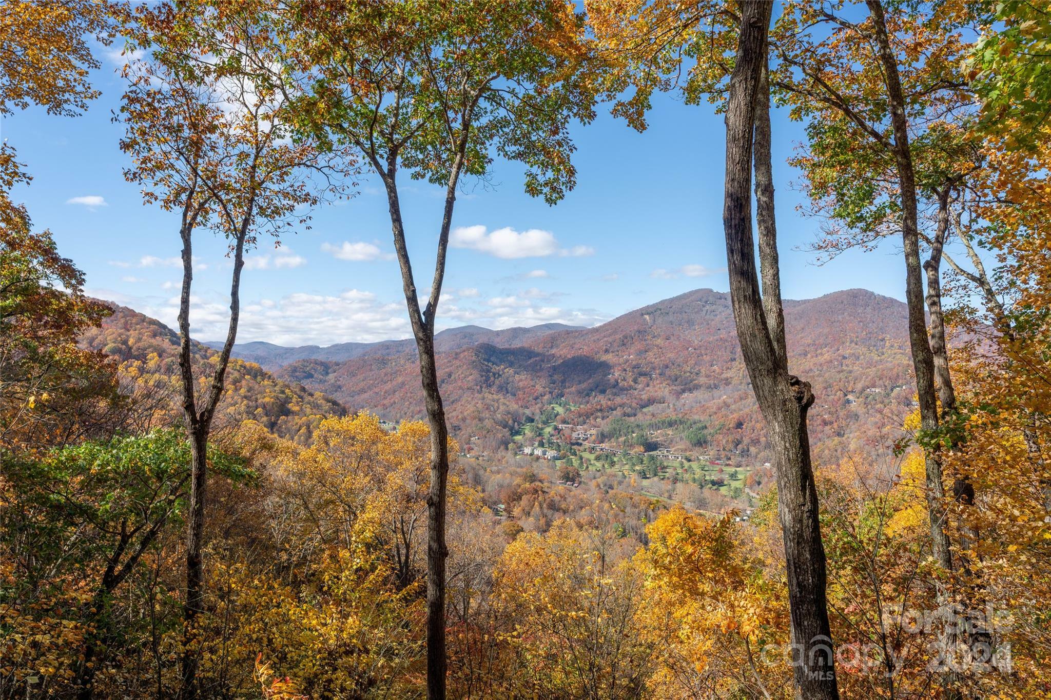 Property Photo:  339 Tsalagi Trail  NC 28751 