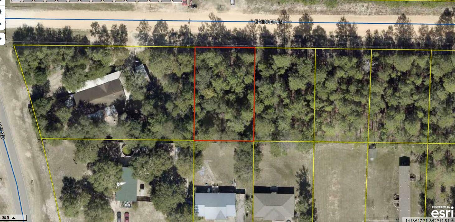 Property Photo:  Lot 4 Blk 6 E. Violet Lane  FL 32433 