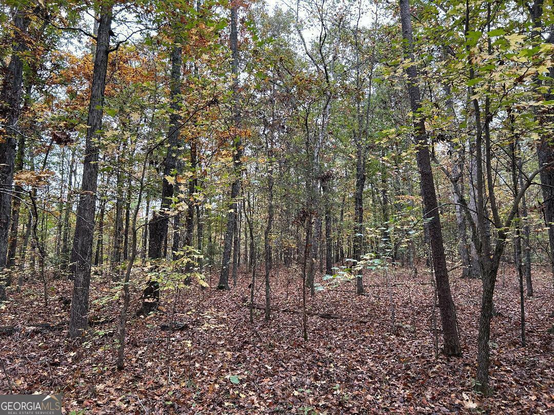 0 Manning Lake Road  Rome GA 30165 photo