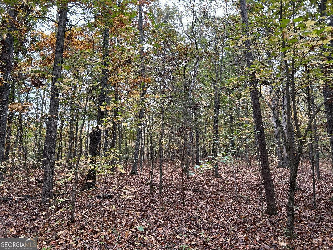 Property Photo:  0 Manning Lake Road  GA 30165 