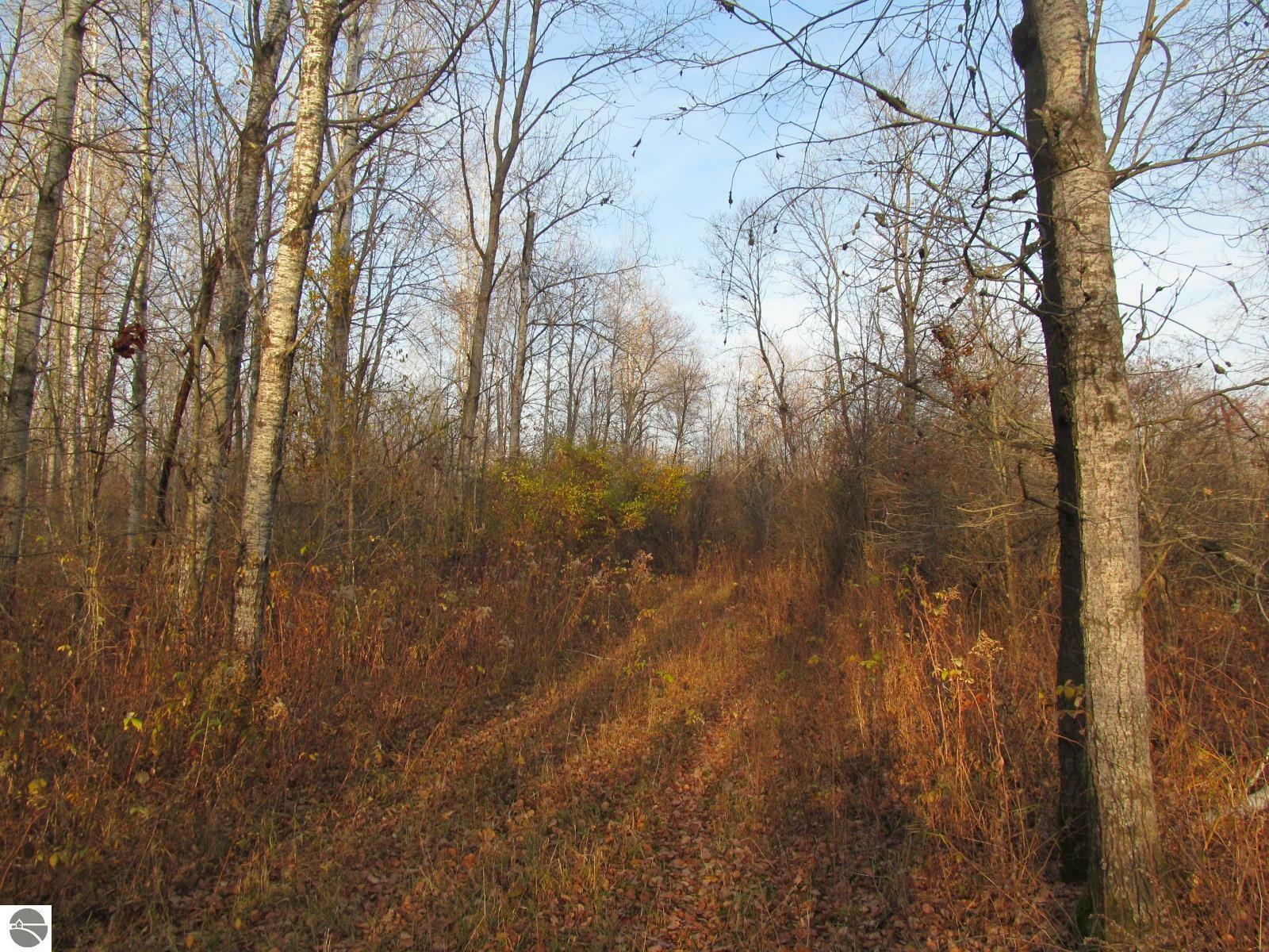 Property Photo:  '0' W Stockwell  MI 49665 