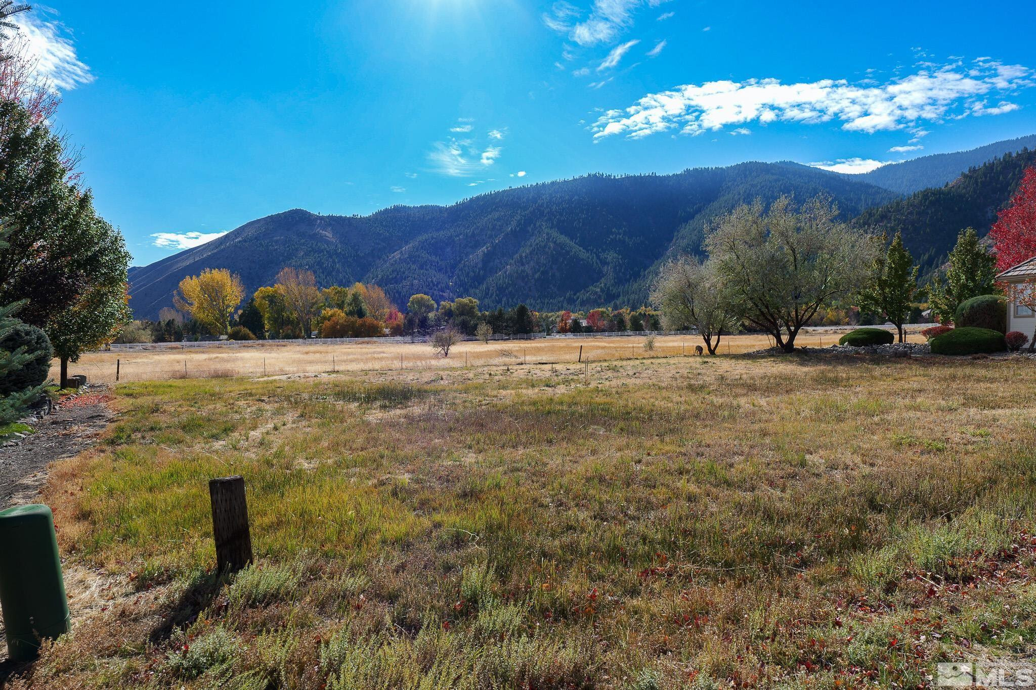 Property Photo:  275 Genoa Highlands Circle  NV 89411 