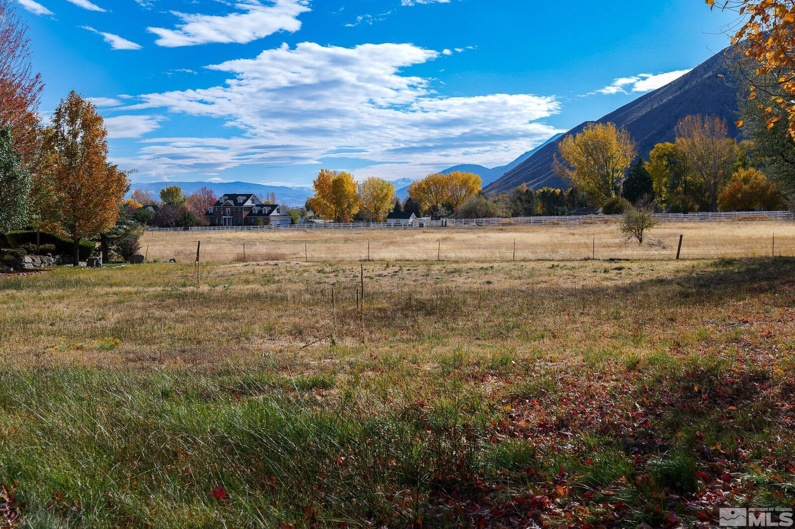Property Photo: 275 Genoa Highlands Circle NV 89411