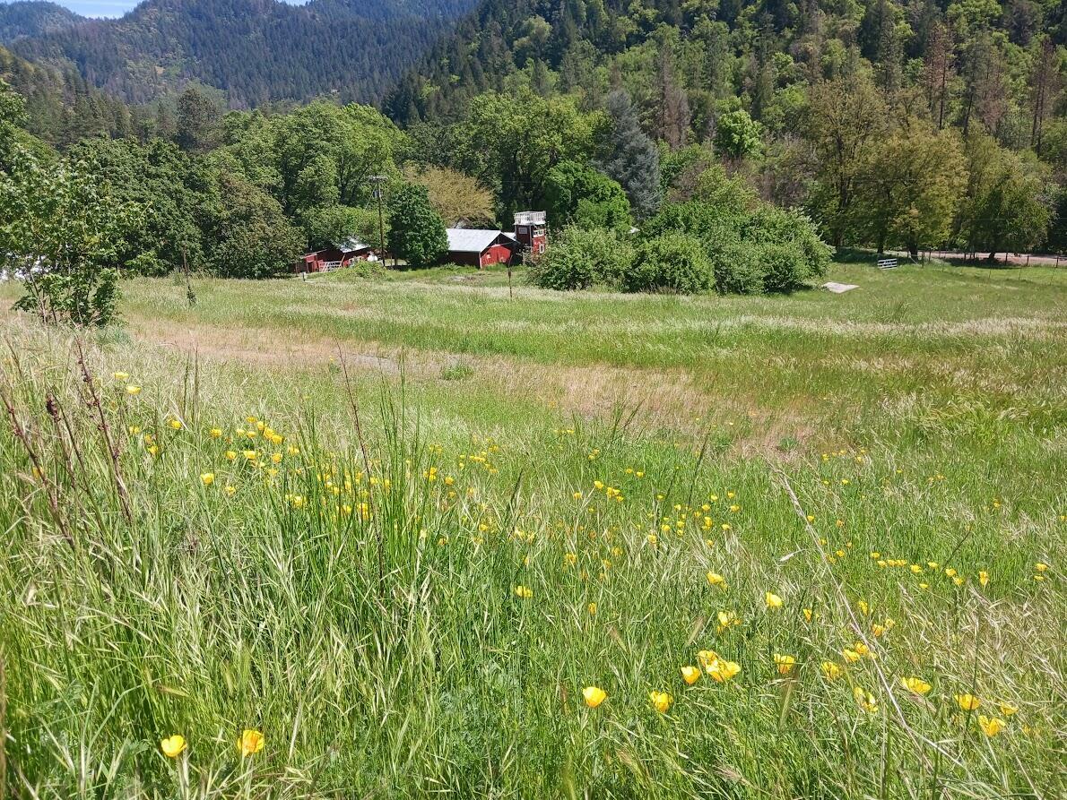 Property Photo: 14855 E Evan'S Creek Road Road OR 97537
