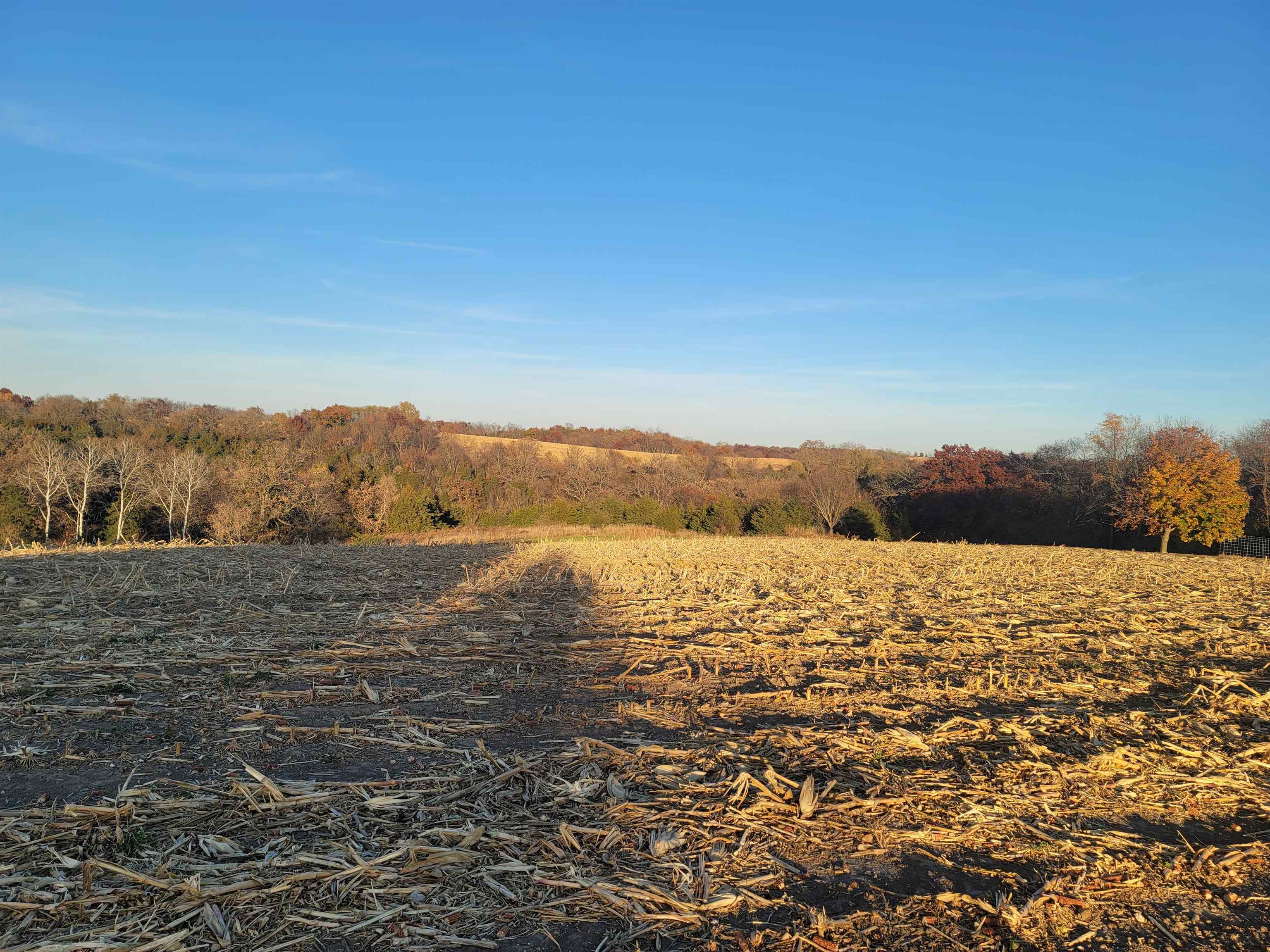 Property Photo:  Tbd N High Ridge Road  IL 61025 