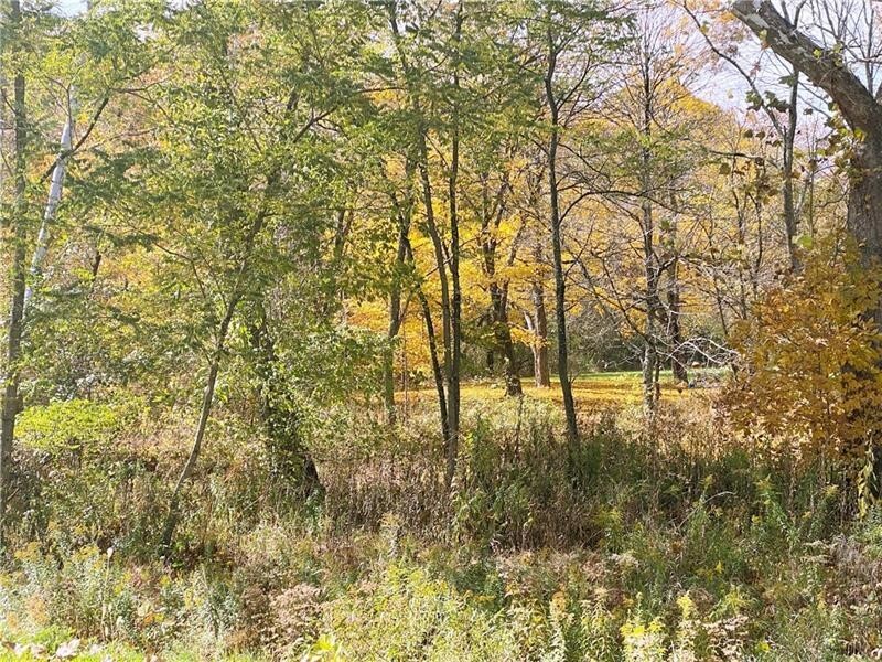 Property Photo:  000 Bull Creek Rd  PA 15084 