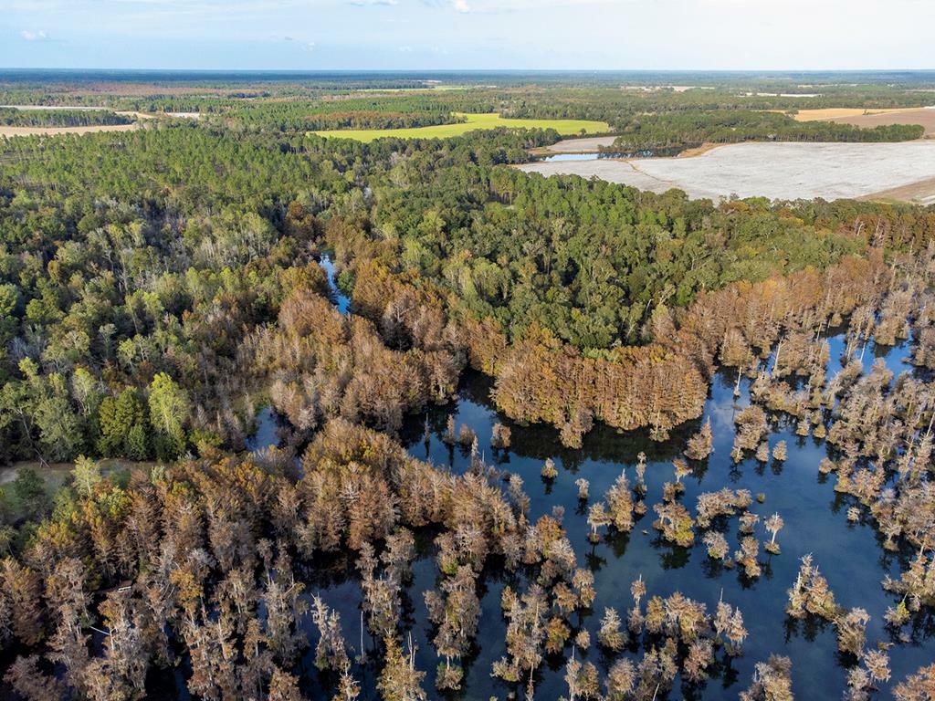 19X Largemouth Drive  Sylvester GA 31791 photo