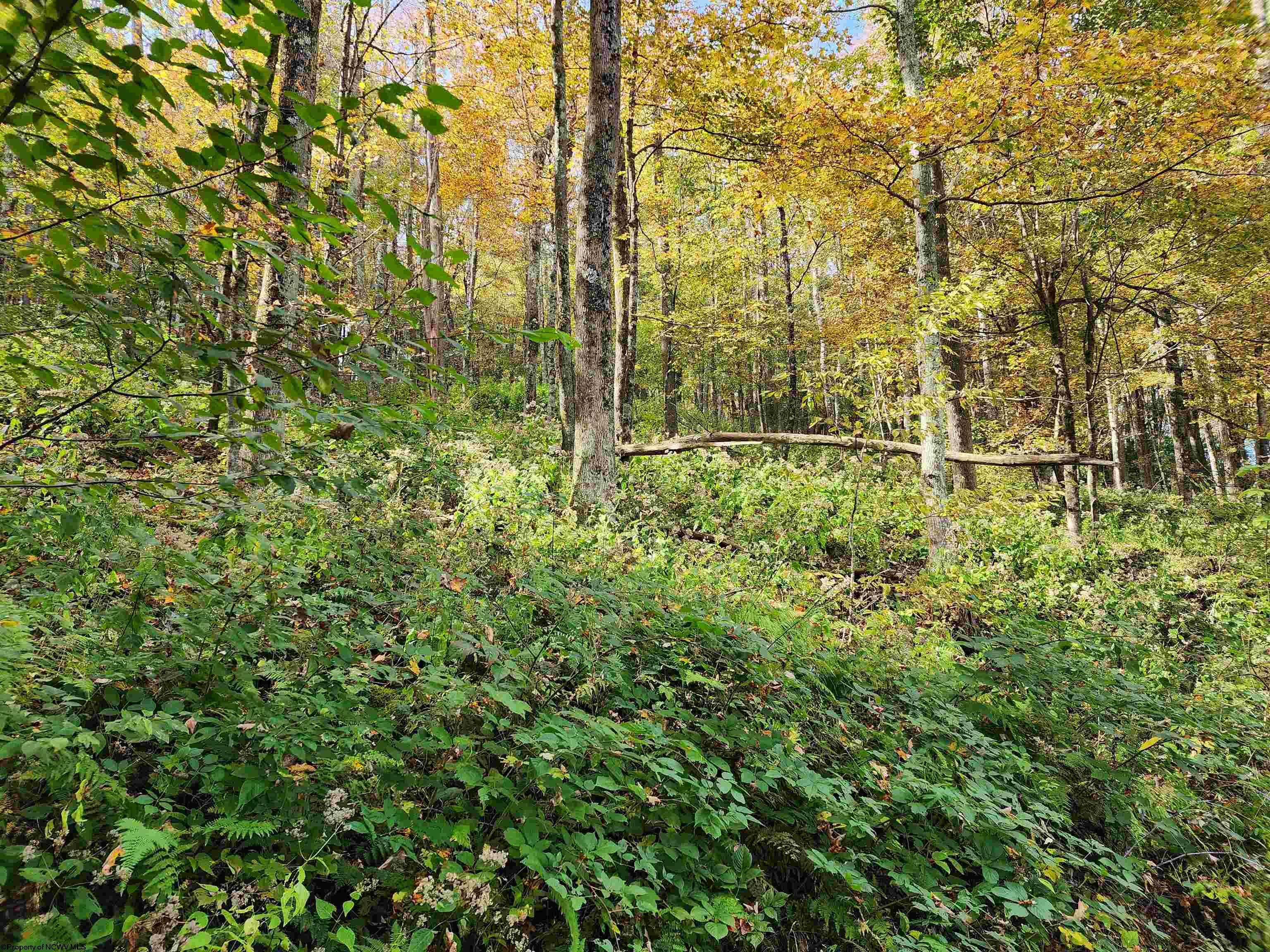 Property Photo:  Lot 39 Rocky Road  WV 26270 