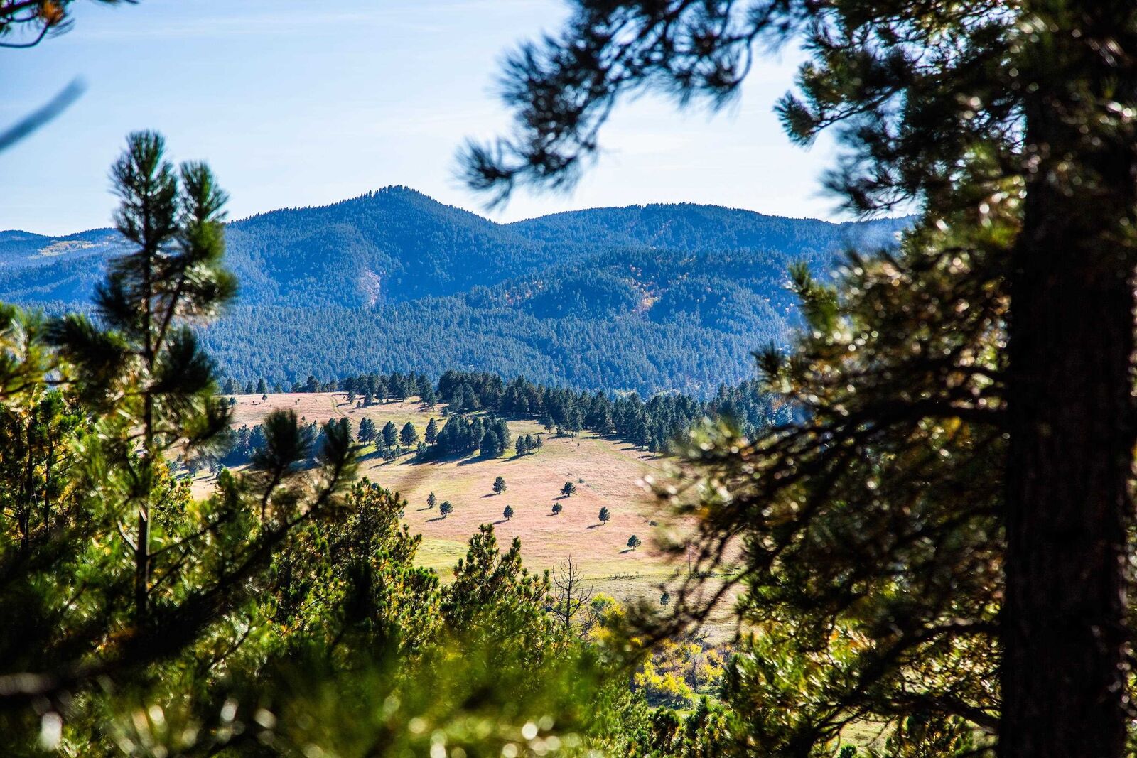 Property Photo:  Lot 40 Three Peaks Pass  SD 57793 