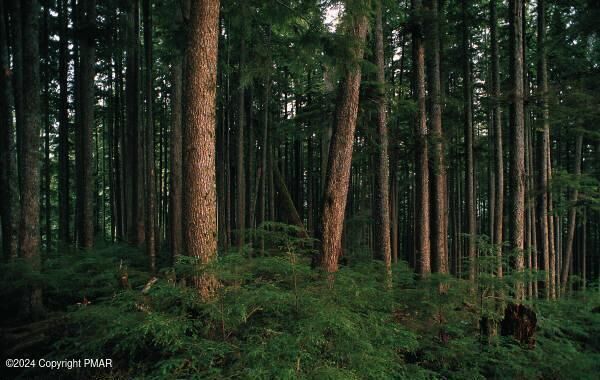 Property Photo: 605 Mountain Road PA 18610