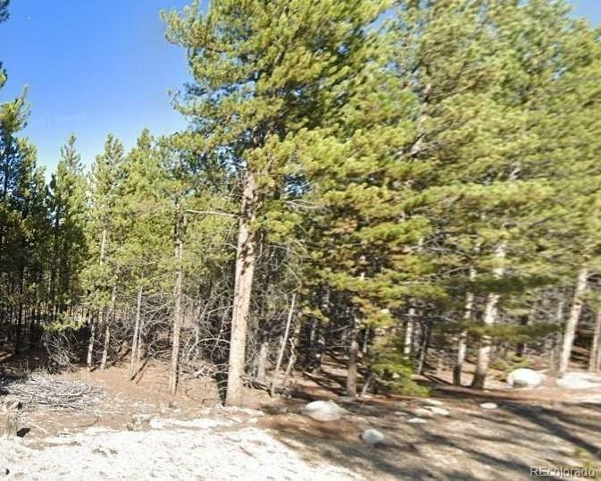 Property Photo:  455 Lodgepole Drive  CO 80461 