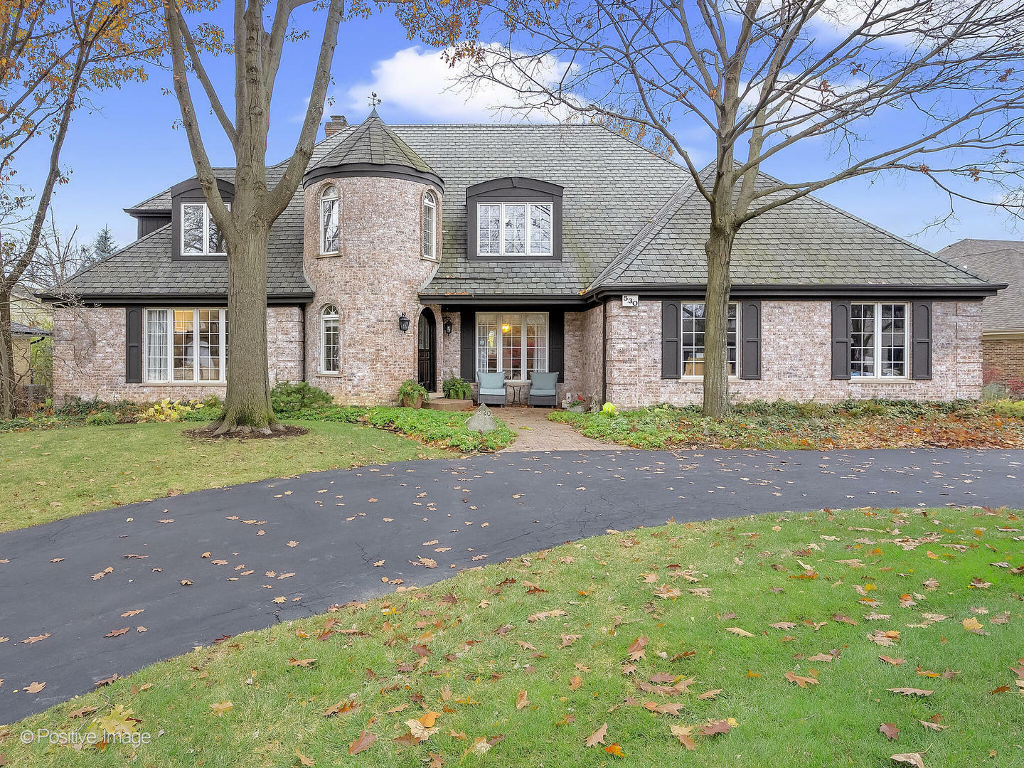 Property Photo: 530 Forest Mews Drive IL 60523