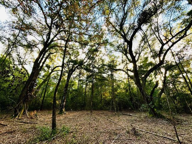 Property Photo:  15 Acres E Moran Road  LA 70452 