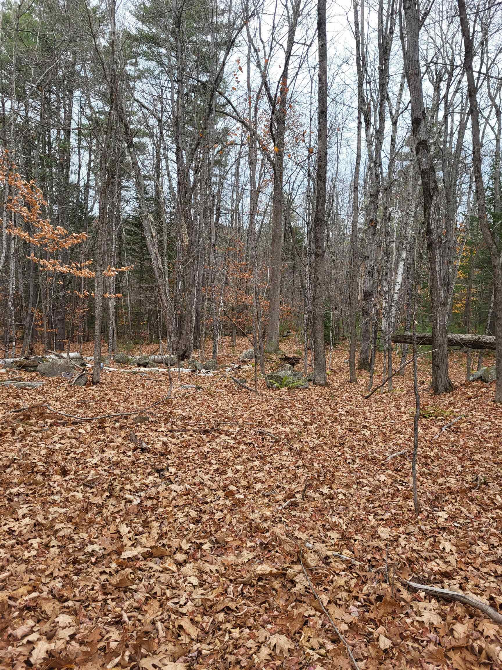 Property Photo:  00 Rice Hill Road  NH 03836 