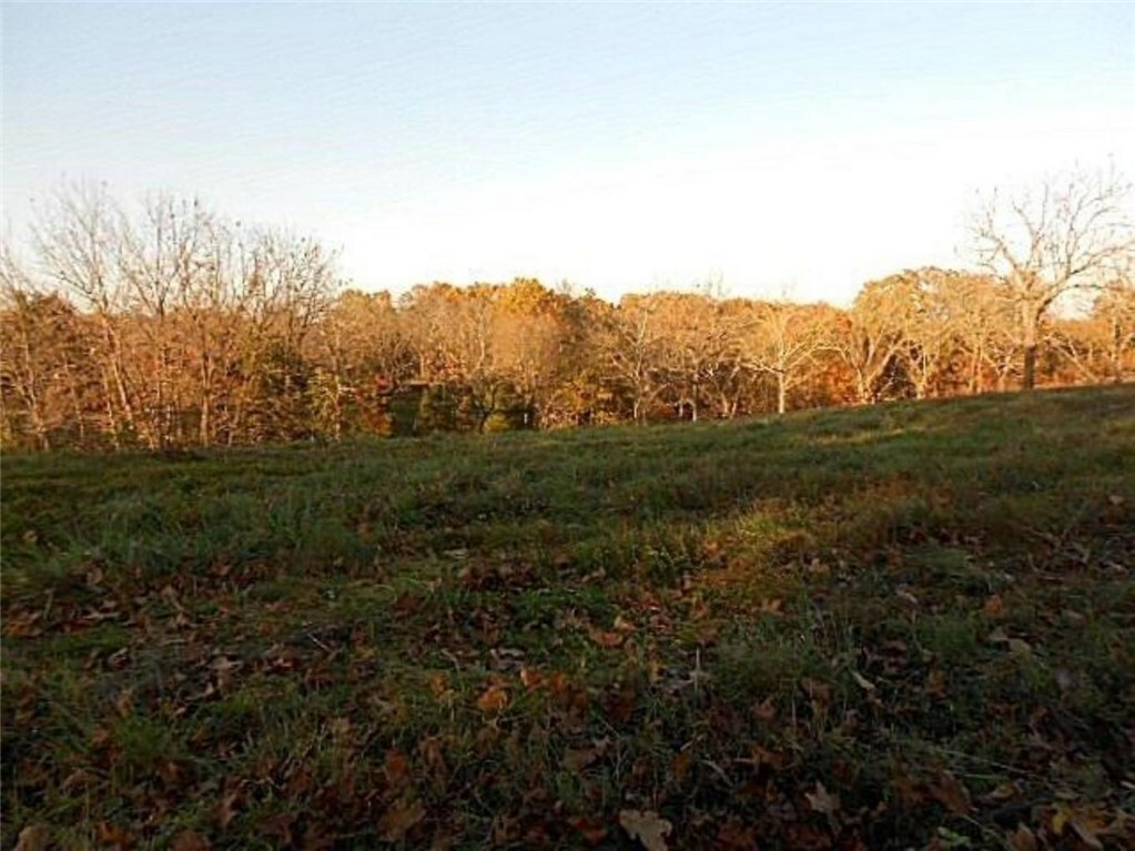 Lot 10 Stagecoach Drive  Pineville MO 64856 photo