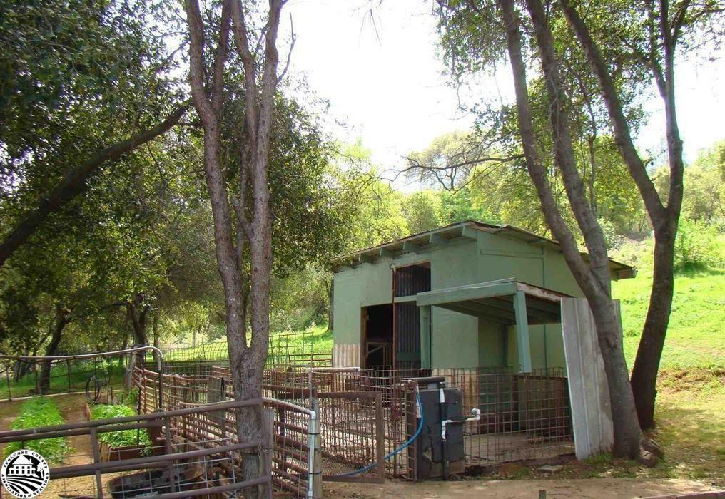 Property Photo:  5314 Dogtown Road  CA 95311 