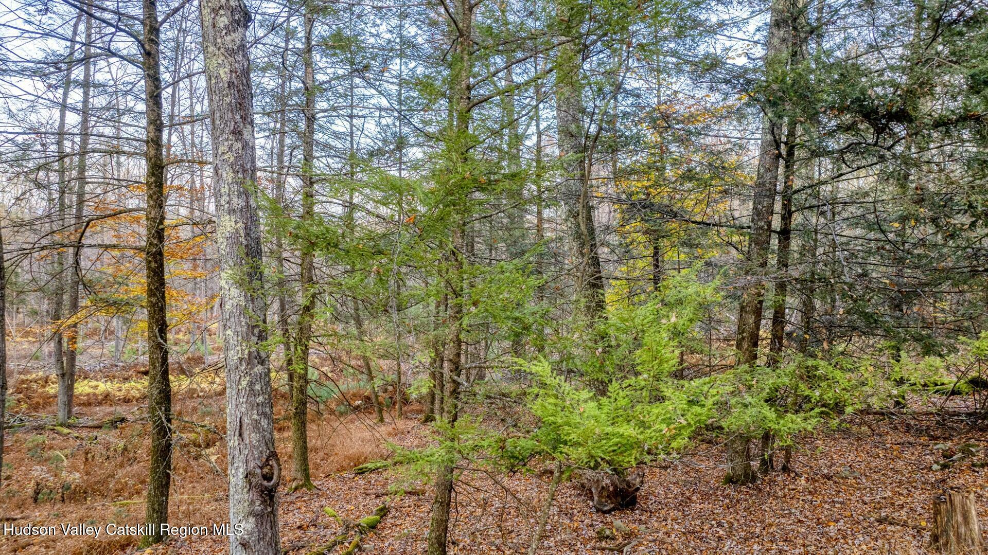 Property Photo:  Tbd Cherry Hill Lot #1  NY 12484 