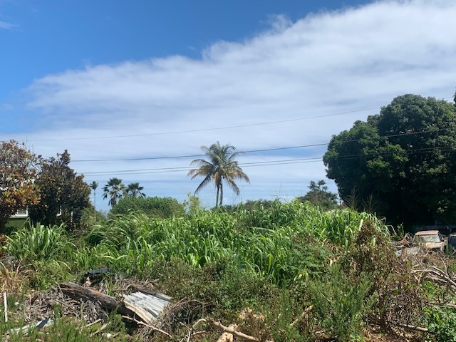 Property Photo:  45-109 Pikonia Loop  HI 96727 