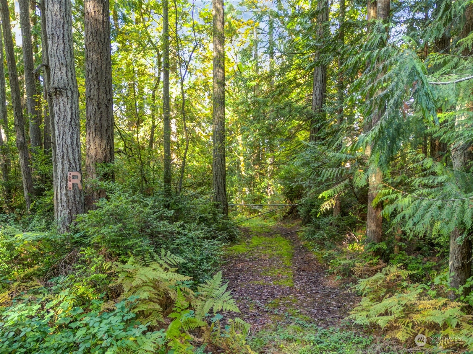 Property Photo:  16315 56th Street SW  WA 98351 