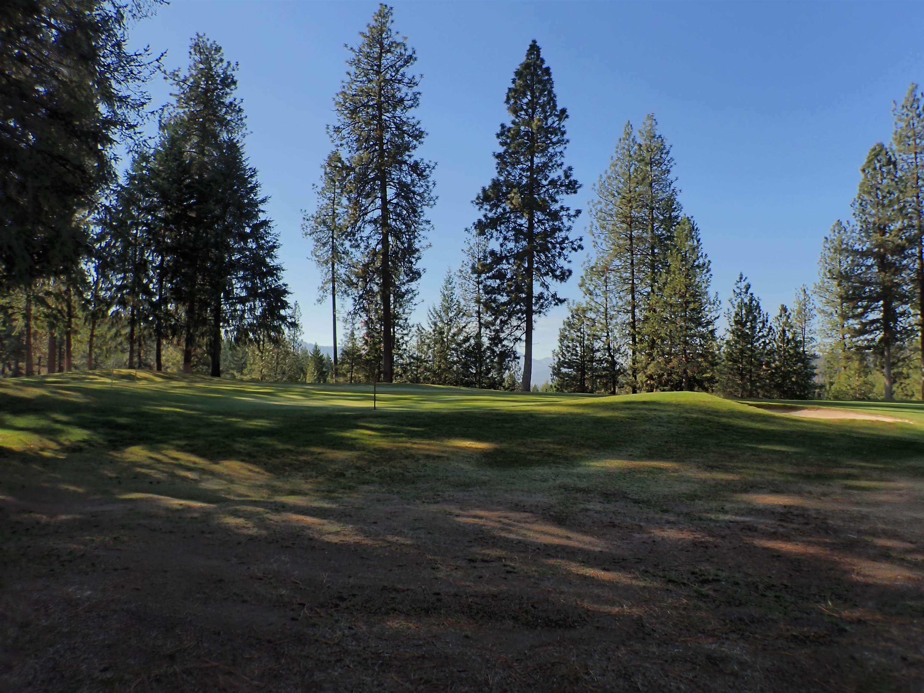 Property Photo:  Lot 1 Hogan Way  WA 99109 