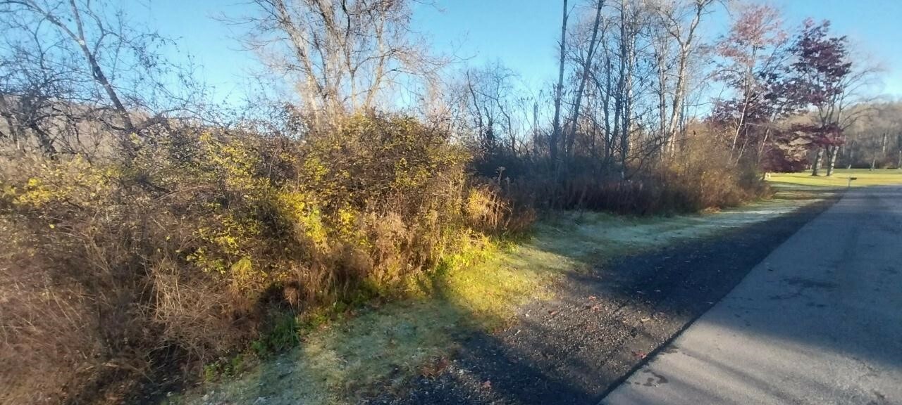 0 Walpole Rd  Groton NY 13073 photo