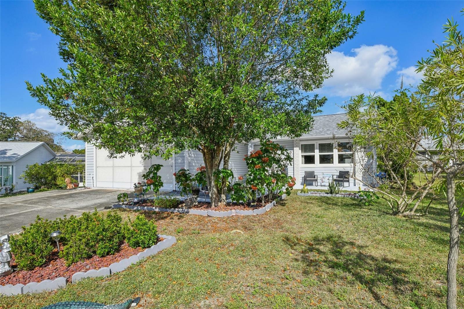 Property Photo:  1305 Moray Court  FL 34788 