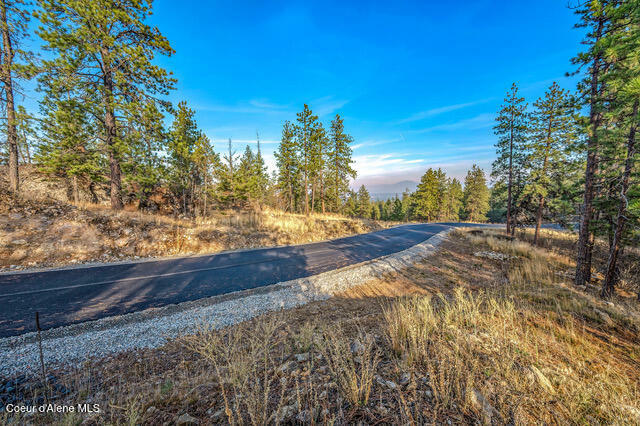 Property Photo:  Lot 3 Walkinshaw Ct  ID 83814 