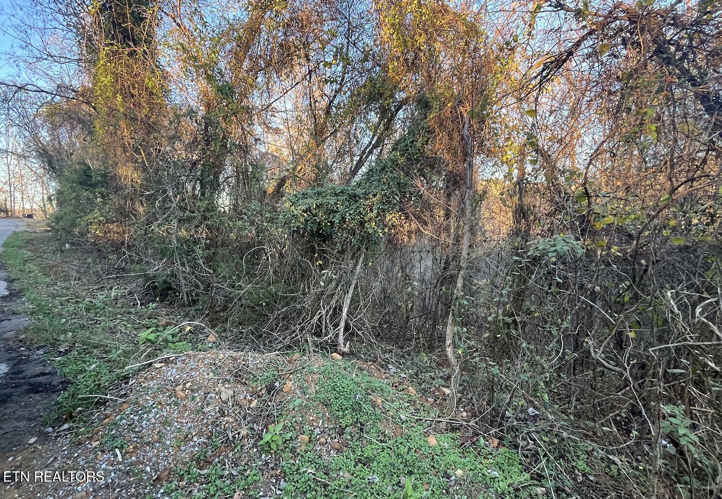 Property Photo:  Magnolia Ln Lot 488  TN 37866 