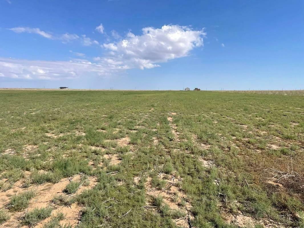 Property Photo:  21704 County Road 2140  TX 79423 