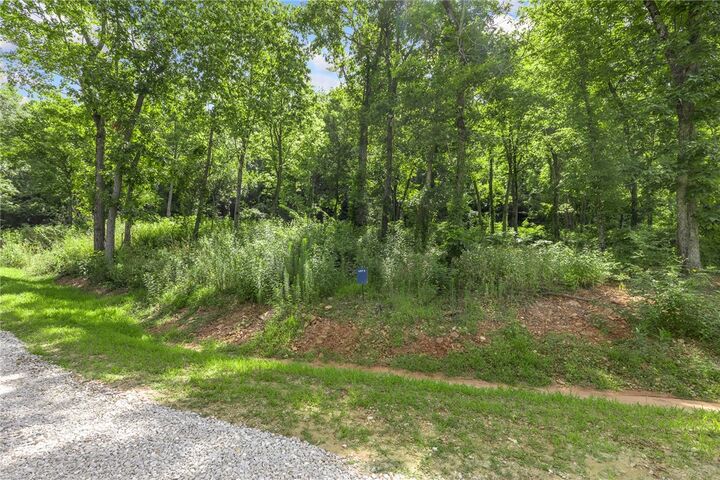 Property Photo: Lot 5 Significance Summit AR 72601