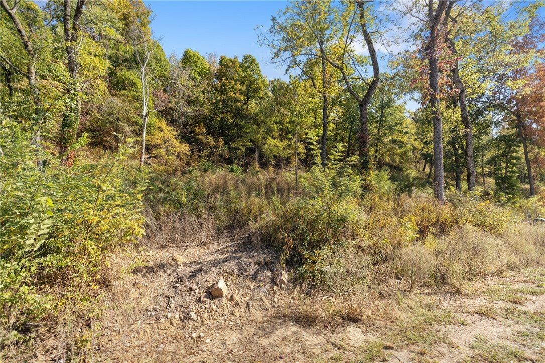 Property Photo:  Lot 7 Peaceful Place  AR 72601 